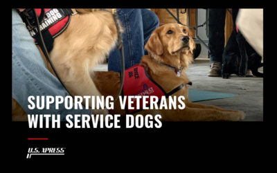Supporting Veterans with Service Dogs
