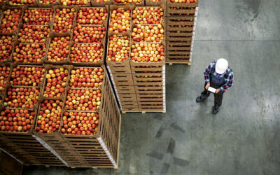 An avalanche of apples plus a wave of wood pellets equals one quirky surge